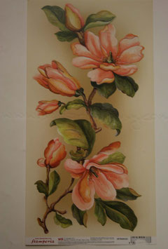 Stamperia Magnolie