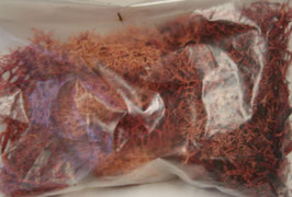Lichene rosso Belle Arti & Hobby