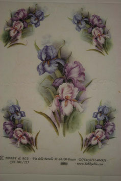 Calambour Carta Riso CAL 200-225