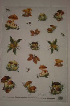 Decomania Carta Riso COD 5039