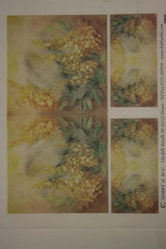 Calambour  Carta Riso CAL 200-269