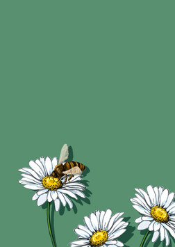 POSTKARTE von illi - Gänseblümchen mit Biene Nalola