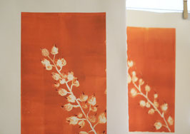 plante sur fond orange