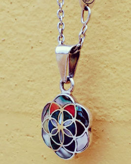 THE FLOWER OF LIFE / SILVER HAZE