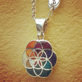 THE FLOWER OF LIFE