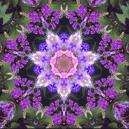 FLOROSCOPE Seven Skys