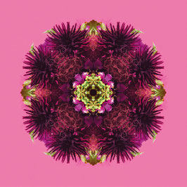 FLOROSCOPE Dhalia
