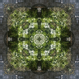 MASSIVE MOSS  Implosion
