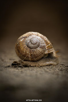 Slow down
