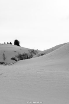 Winterwonderland