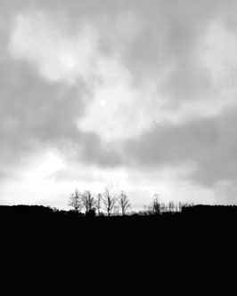 Rohrspitz, Horizont