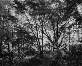 Heiden, Waldpark
