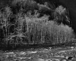 Val Bavona