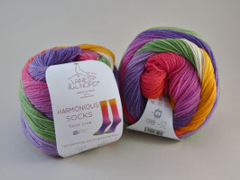 Laines du Nord Harmonious Socks Fb 11