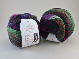 Laines du Nord 6 Ply Paint Socks Fb 4