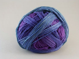 Schoppel Gradient Fb. 2437 Alles Paletti