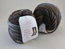 Laines du Nord 6 Ply Paint Socks Fb 5