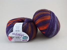Woolly Hugs Paint Socks Fb 212