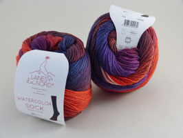 Laines du Nord Watercolor Sock Fb 105
