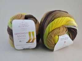 Laines du Nord Harmonious Socks Fb 16