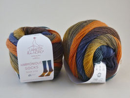 Laines du Nord Harmonious Socks Fb 14