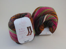 Laines du Nord 6 Ply Paint Socks Fb 6