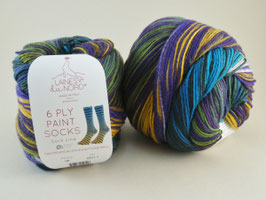 Laines du Nord 6 Ply Paint Socks Fb 8