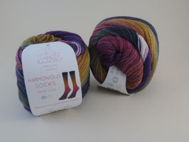 Laines du Nord Harmonious Socks Fb 3
