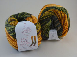 Laines du Nord 6 Ply Paint Socks Fb 2