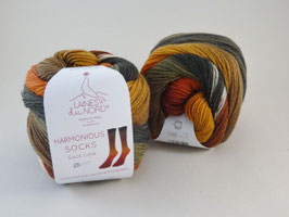 Laines du Nord Harmonious Socks Fb 5