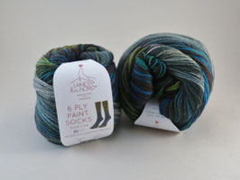 Laines du Nord 6 Ply Paint Socks Fb 3