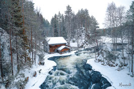 LA RIVIÈRE ENCHANTÉE.