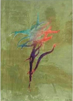 "Fortuna XII", José Manuel Broto