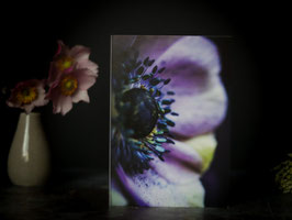 Blüten-Grußkarte- die lila Anemone als Blüten-Gruß