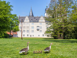 Schloss, Foto-Nr. 2019_0491_8060P