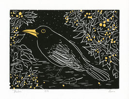 Hector le merle - Linogravure originale