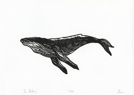 La baleine - Linogravure originale