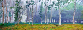 BOSQUE CON NIEBLA