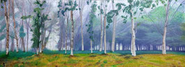 BOSQUE CON NIEBLA
