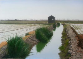 ACEQUIA DE EL PERELLONET
