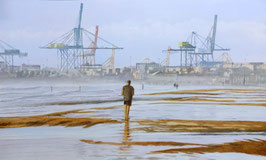 CAMINANTE SOLITARIO
