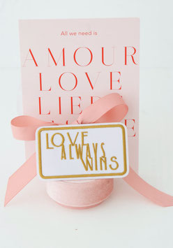 Love Always Wins Aufbügelpatch