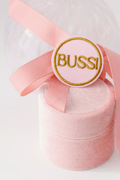 Bussi Mini Aufbügelpatch