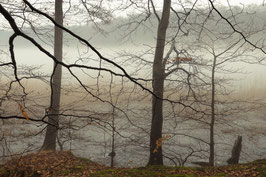 231 Uckermark