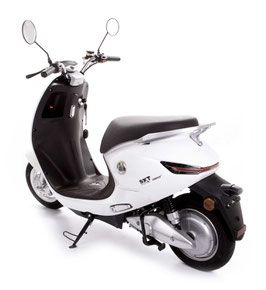 SXT Gekko V3