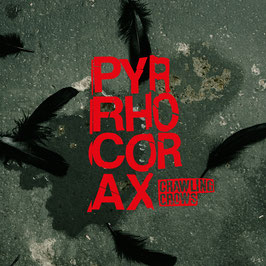 CD "PYRRHOCORAX"