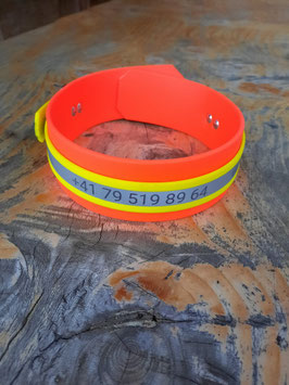 NEU! Beschriftung für das Halsband