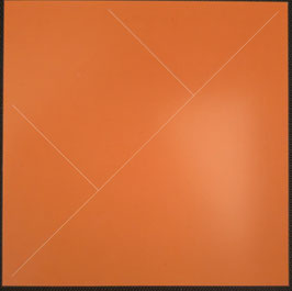 Orange-Seals Groot