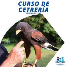 OFERTA! OFERTA! CURSO ONLINE DE CETRERÍA CON TITULACIÓN CERTIFICADA