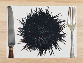 SET OURSIN COUVERT / réf 0017